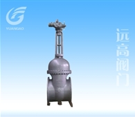 大口徑電動閘閥