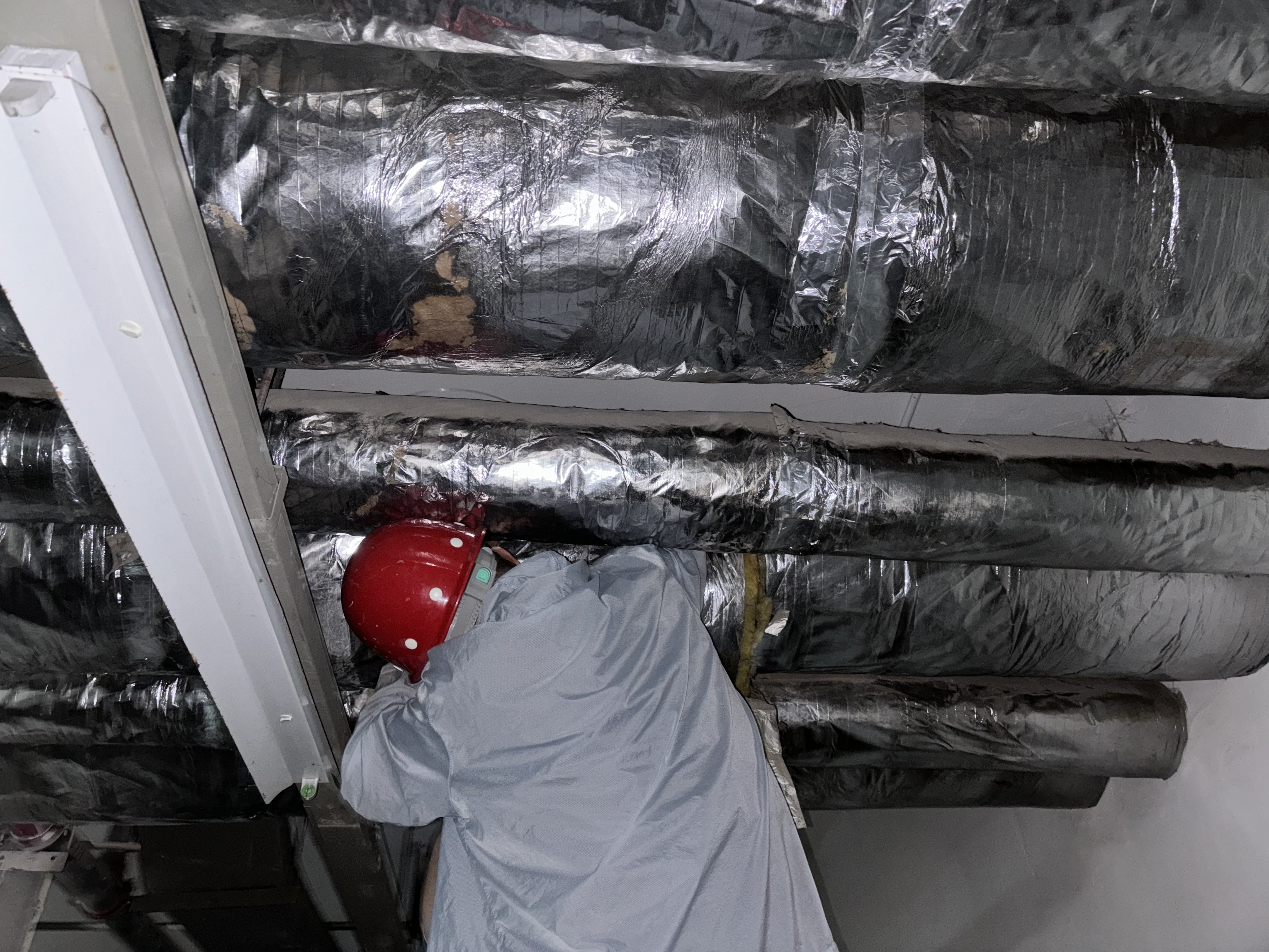 圖片5.png 圖片5.png